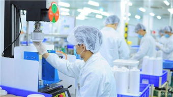 嘉定區危廢處置合同技術服務 專業、安全、高效——歡迎咨詢錦梅供應信息技術咨詢服務