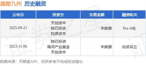 星瞰九州完成Pre-A輪融資，天創資本與陸石投資領投，加速信息技術咨詢業務發展