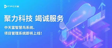 聚力科技攜手智慧鳥(niǎo)系統(tǒng) 項(xiàng)目管理系統(tǒng)即將上線(xiàn)，引領(lǐng)信息技術(shù)咨詢(xún)服務(wù)新篇章