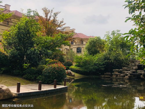 今日熱盤(pán)推薦 樓盤(pán)詳情與信息技術(shù)咨詢(xún)?nèi)馕? />
</span>
<span id=